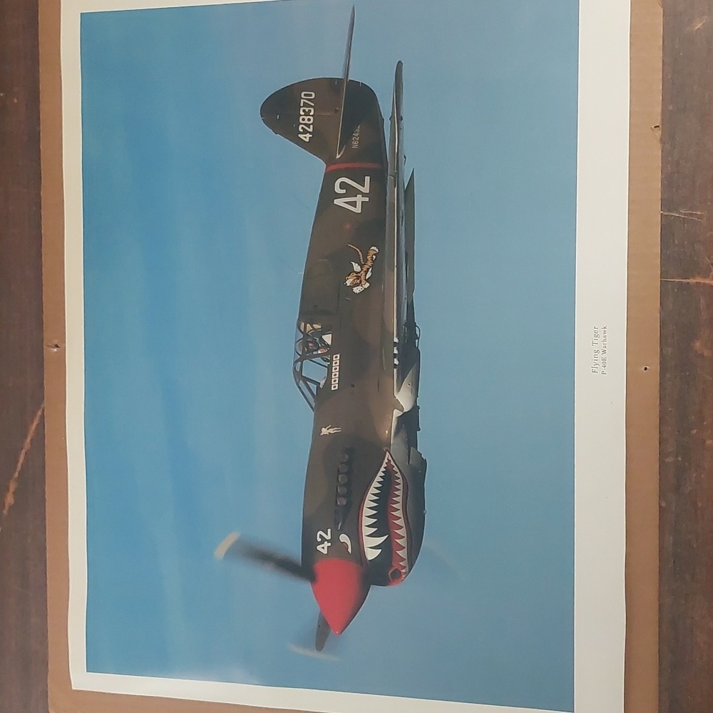 Flying Tiger AVG P-40E Warhawk Print